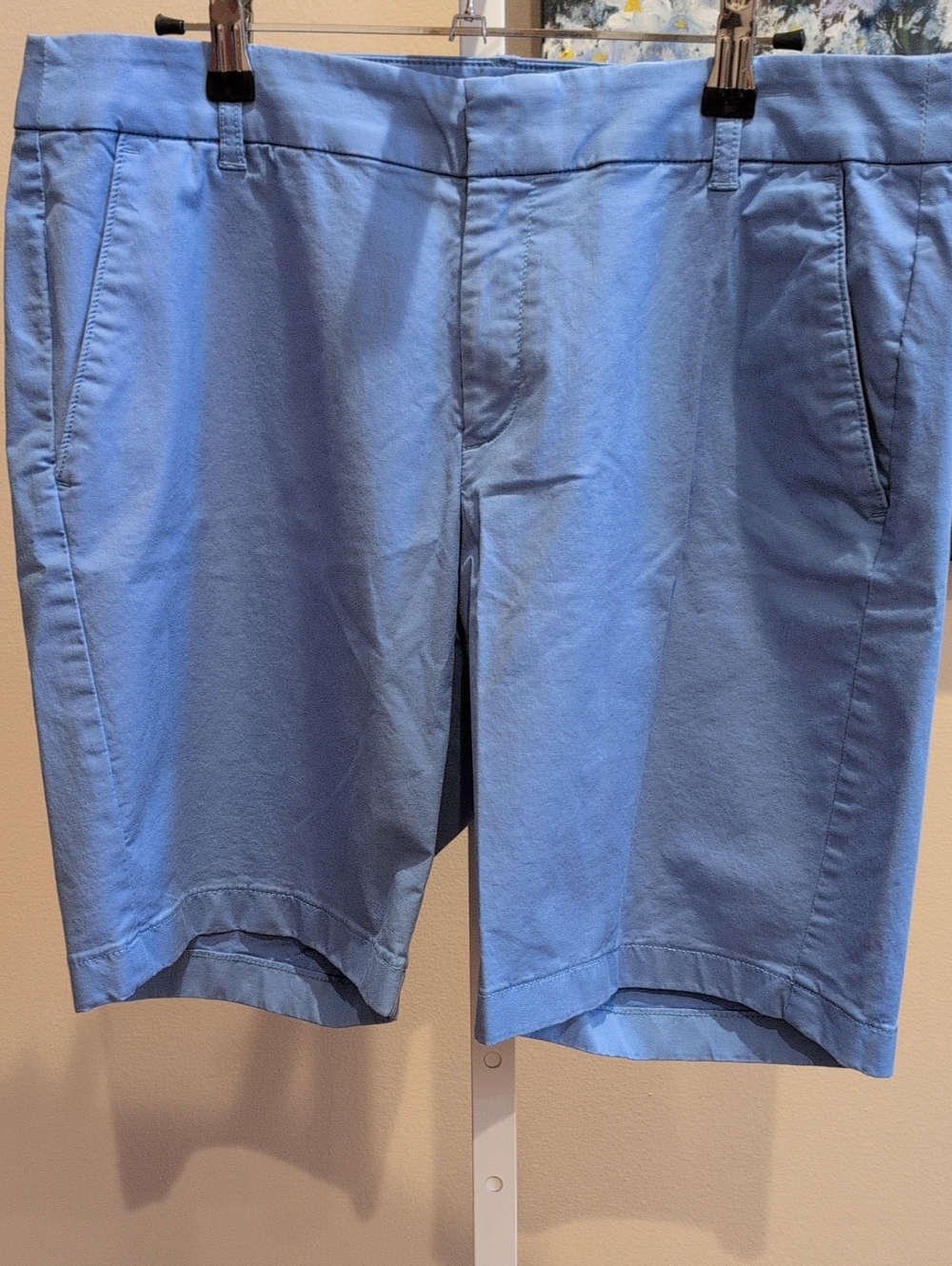 J. Crew Light Blue Flat-Front Women's Shorts